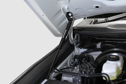 【ランドクルーザー 250系】ROJAM ボンネットダンパー カーボン